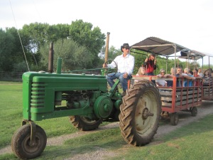 Today this tractor pulls big eyed visitors at the Blazin' M Ranch in Arizona.  It used to work hard in the fields to the blessing of many.